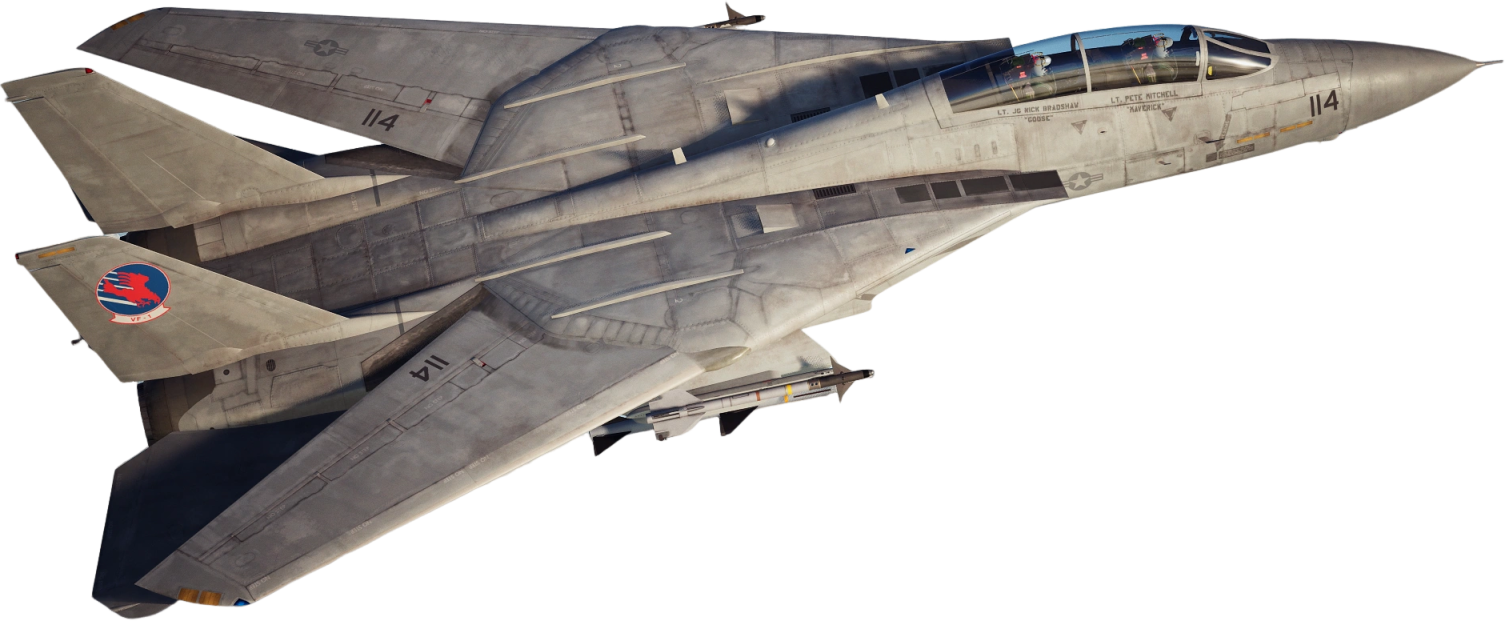 American multipurpose fighter aircraft F-14A TOMCAT COBI